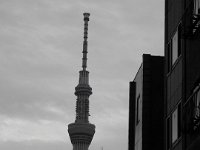 Tokyo Sky Tree